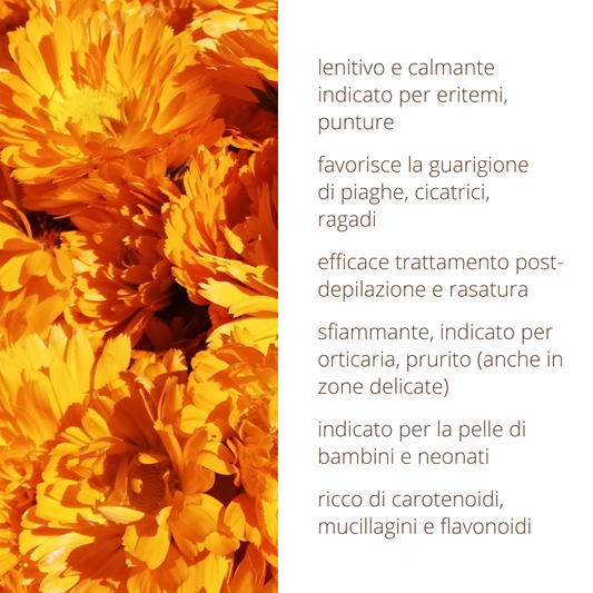 Oleolito di Calendula 50ml estratto 100% naturale in olio vegetale