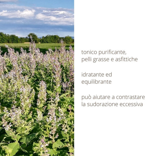 Idrolato di Salvia sclarea tonico viso e cute equilibrante